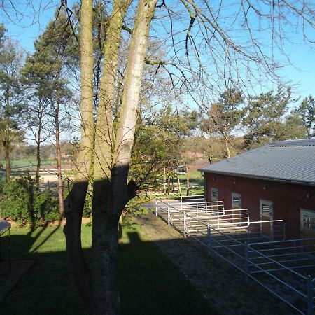 Ferienwohnung Friesenstall Heede Bagian luar foto